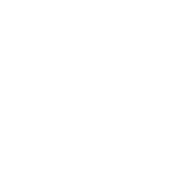 Momentum