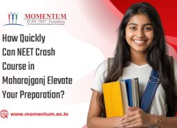 How Quickly Can NEET Crash Course in Maharajganj Elevate Your Preparation?