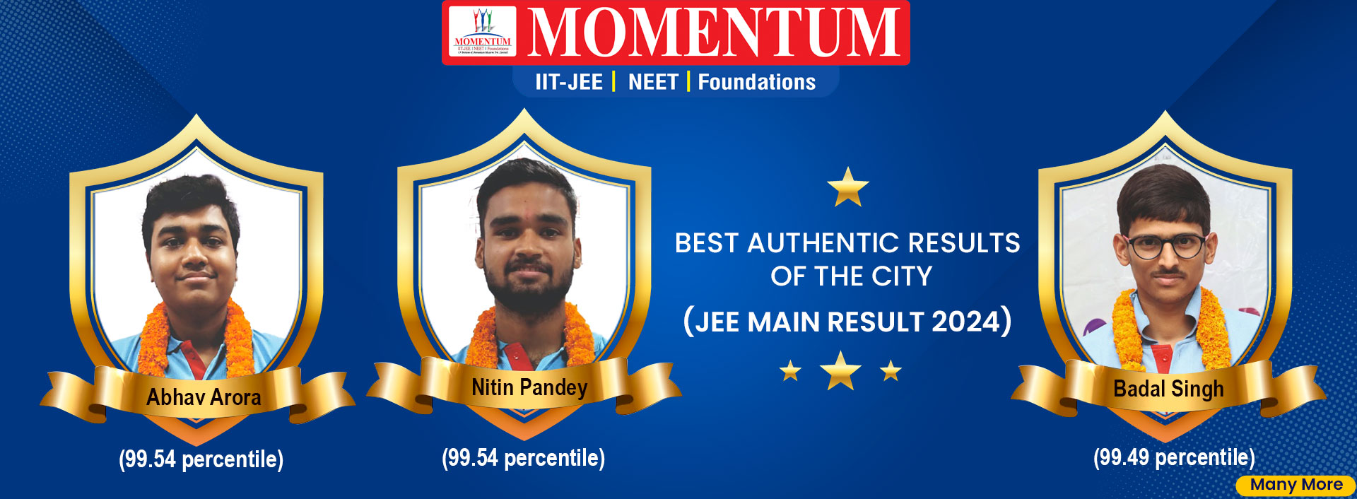 Best Authentic Results of The City Jee Main Result 2024