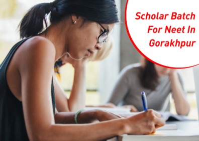 Excelling in NEET: Join Scholar Batch for Comprehensive Coaching and Test Series