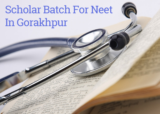 Momentum Gorakhpur Scholar Batch: The Secret to Success in NEET