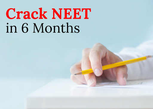 The Ultimate Guide For Those Who Want To Crack NEET in 6 Months