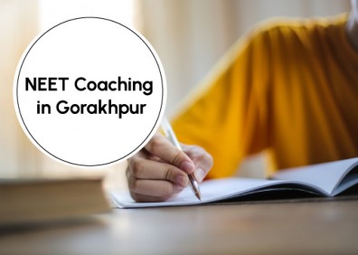 Why Momentum Coaching is the Best Choice for JEE or NEET Success
